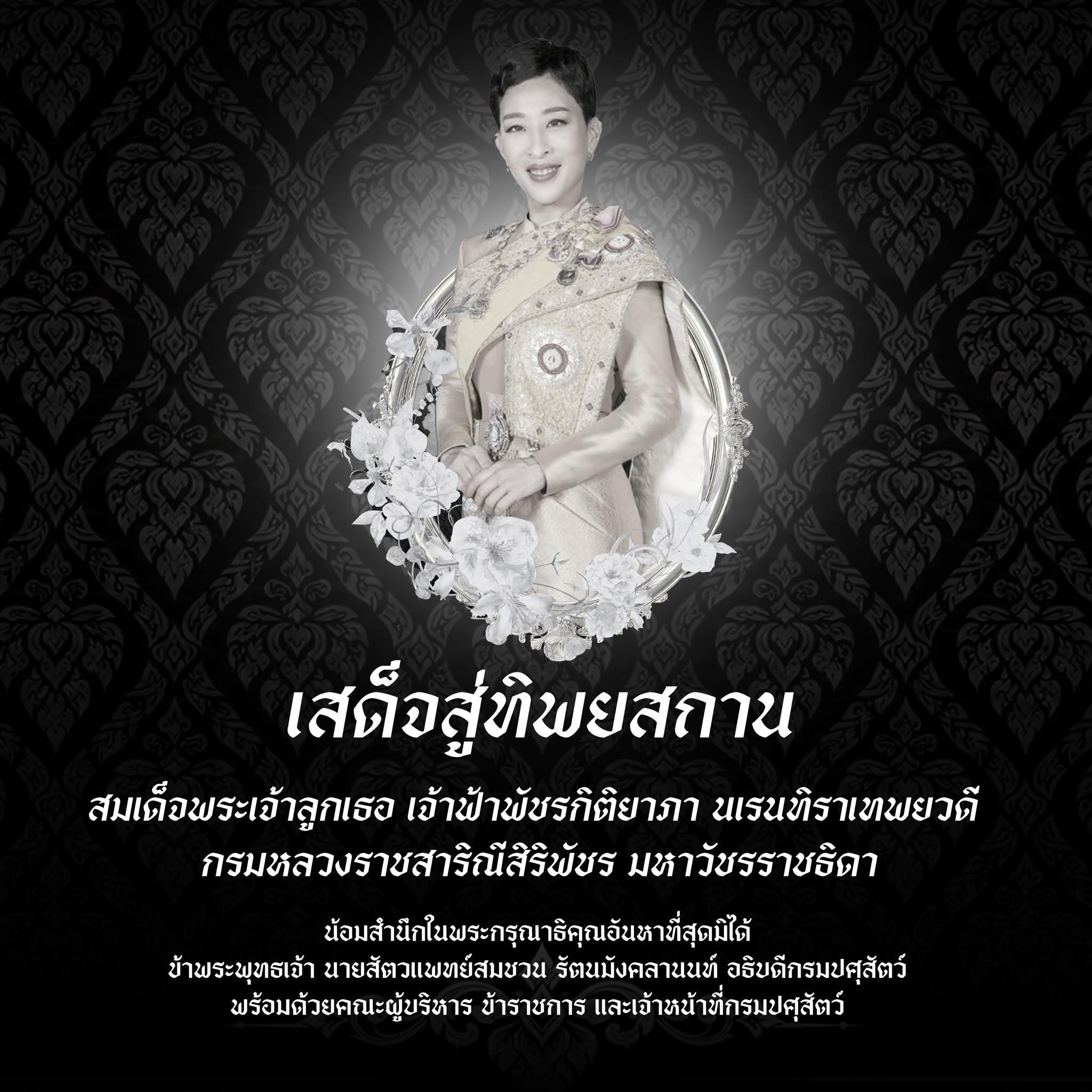 ภาพกราฟิกน้อมรำลึกในพระกรุณาธิคุณ สมเด็จพระเจ้าลูกเธอ เจ้าฟ้าพัชรกิติยาภาฯ กรมปศุสัตว์